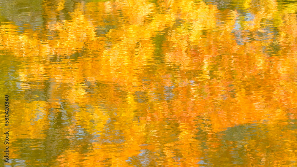 Poster abstract autumn background with reflection effect