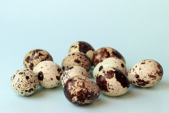 Quail eggs isolated on a blue background in close-up