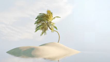 palm tree in the sea island