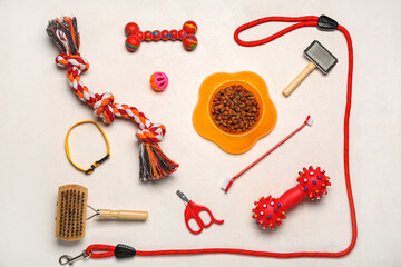 Set of different pet care accessories and dry food on light background