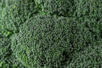 Fresh vegetable broccoli closeup. Macro broccoli head.