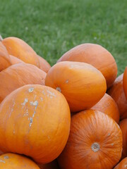 Orange Helloween pumpkins outdoors