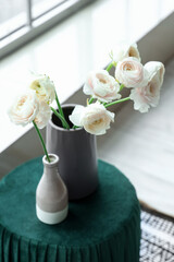 Vases with ranunculus flowers on pouf in living room, closeup