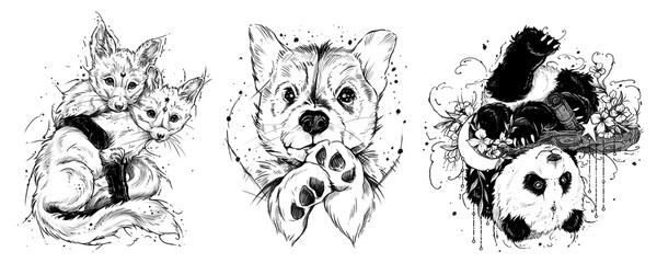 Black and white set of cartoon animals. A cute little puppy, cuddling foxes and a panada hanging from a tree. Colorful illustration