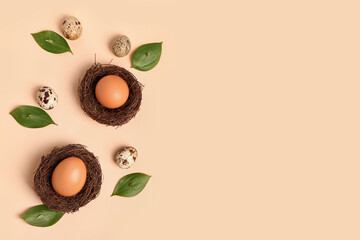 Composition with nests, Easter eggs and plant leaves on color background