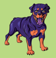 Rottweiler dog isolated on the green background which could be changed. A small purebred rottweiler standing on its four paws with and opened mouth and a tongue outside faces the viewer
