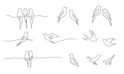 Birds continuous line drawing elements set isolated on white background. Vector illustration. Set of different birds. Outline painting. © Helen-HD