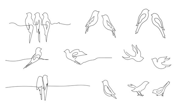 Birds continuous line drawing elements set isolated on white background. Vector illustration. Set of different birds. Outline painting.