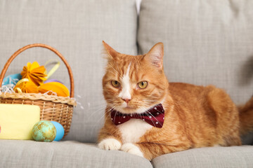 Fototapeta na wymiar Cute cat and basket with Easter eggs on sofa, closeup