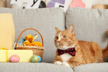Fototapeta na wymiar Cute cat, basket with Easter eggs and gift on sofa at home