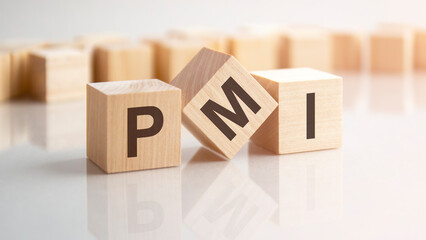 word PMI made with wood building blocks, stock image. background may have blur effect