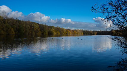 Reflected image of the lake. forest and great sky