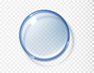 Petri dish top view isolated isolated on transparent. Realistic concept laboratory tests and research. Transparent round displays.