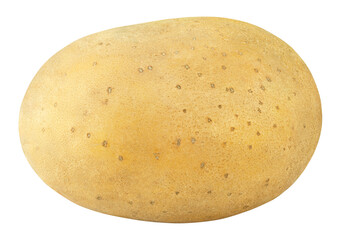 Closeup of single potato isolated on transparent background