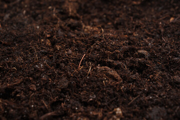 fertile soil for planting and growing plants. 