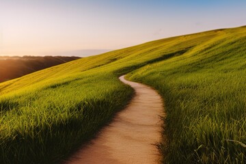 Fototapeta premium Beautiful natural spring summer landscape of meadow in a hilly area on sunset. Field with young green grass and a road