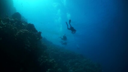 Take moment to appreciate natural wonder of divers and corals in slow motion. Underwater world is hidden treasure trove of natural wonders and beauty.
