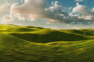 Obraz premium Beautiful natural spring summer landscape of meadow in a hilly area on sunset. Field with young green grass