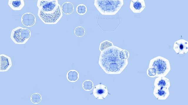 Interaction between bacteria and antibodies. Movement of bacteria in the pale blue liquid.