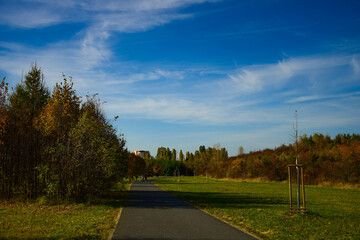 Bench in the autumn park