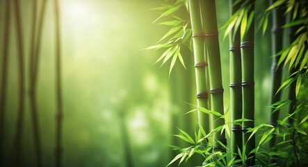 Bamboo trees with copy space. Based on Generative AI