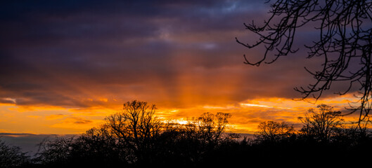 sunset with god rays behind trees