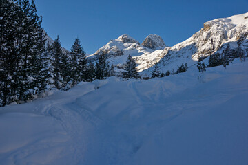 Obraz premium Winter view of Rila Mountain near Malyovitsa peak, Bulgaria