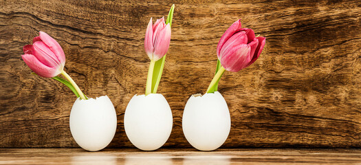Three Eggshells with pink tulips on wooden background. Easter concept