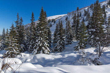 Obraz na płótnie Canvas Winter view of Rila Mountain near Malyovitsa peak, Bulgaria
