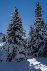 Winter view of Rila Mountain near Malyovitsa peak, Bulgaria