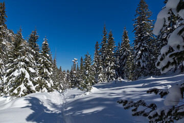 Winter view of Rila Mountain near Malyovitsa peak, Bulgaria