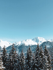 snow covered mountains