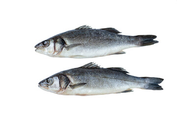 Naklejka premium Fresh fish with spices and herbs on table in kitchen. Fresh sea bass.