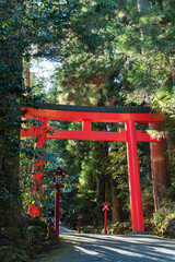日本　神奈川県足柄下郡箱根町の芦ノ湖湖畔にある箱根神社の第三鳥居