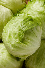 Lechuga