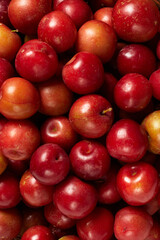 Ciruelas