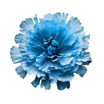 &oelig;illet bleu sur fond transparent - generative ai 