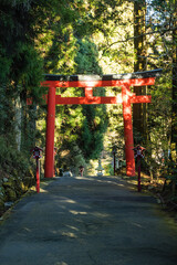 日本　神奈川県足柄下郡箱根町の芦ノ湖湖畔にある箱根神社の第三鳥居