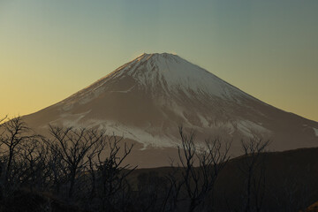 Fototapeta premium 日本 神奈川県足柄下郡箱根町にある箱根ロープウェイから見える夕焼け空とオレンジ色に染まった富士山