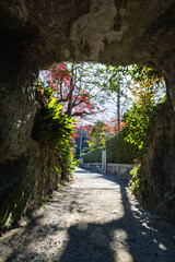 日本　神奈川県鎌倉市にある寿福寺の墓地の入り口と紅葉