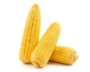 Sweet corn isolated on white background.