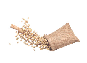 Soy Bean flying explosion in sack bag, yellow grain beans explode abstract cloud fly. Beautiful complete seed pea soy bean sack bag splash in air, food object design. White background isolated freeze