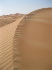 sand dunes in the desert