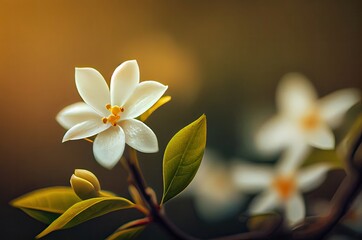 Jasmine Flower Closeup Background Generative AI