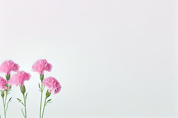 Carnation Flowers Backdrop With Copyspace Generative AI