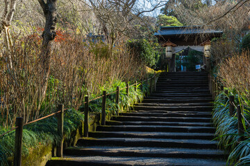 日本　神奈川県鎌倉市のあじさい寺で知られている明月院の山門へ向かう階段