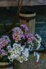 日本　神奈川県鎌倉市のあじさい寺で知られている明月院の境内