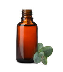 Bottle of eucalyptus essential oil and green leaves on white background