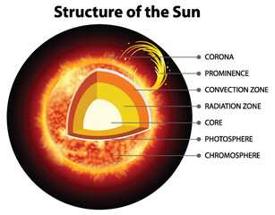 The Structure of the Sun