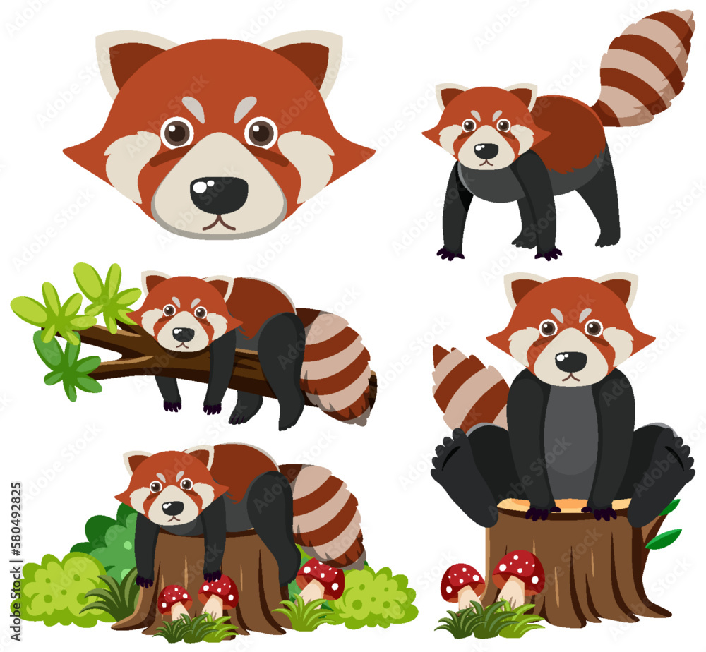 Poster Set of red panda cartoon character